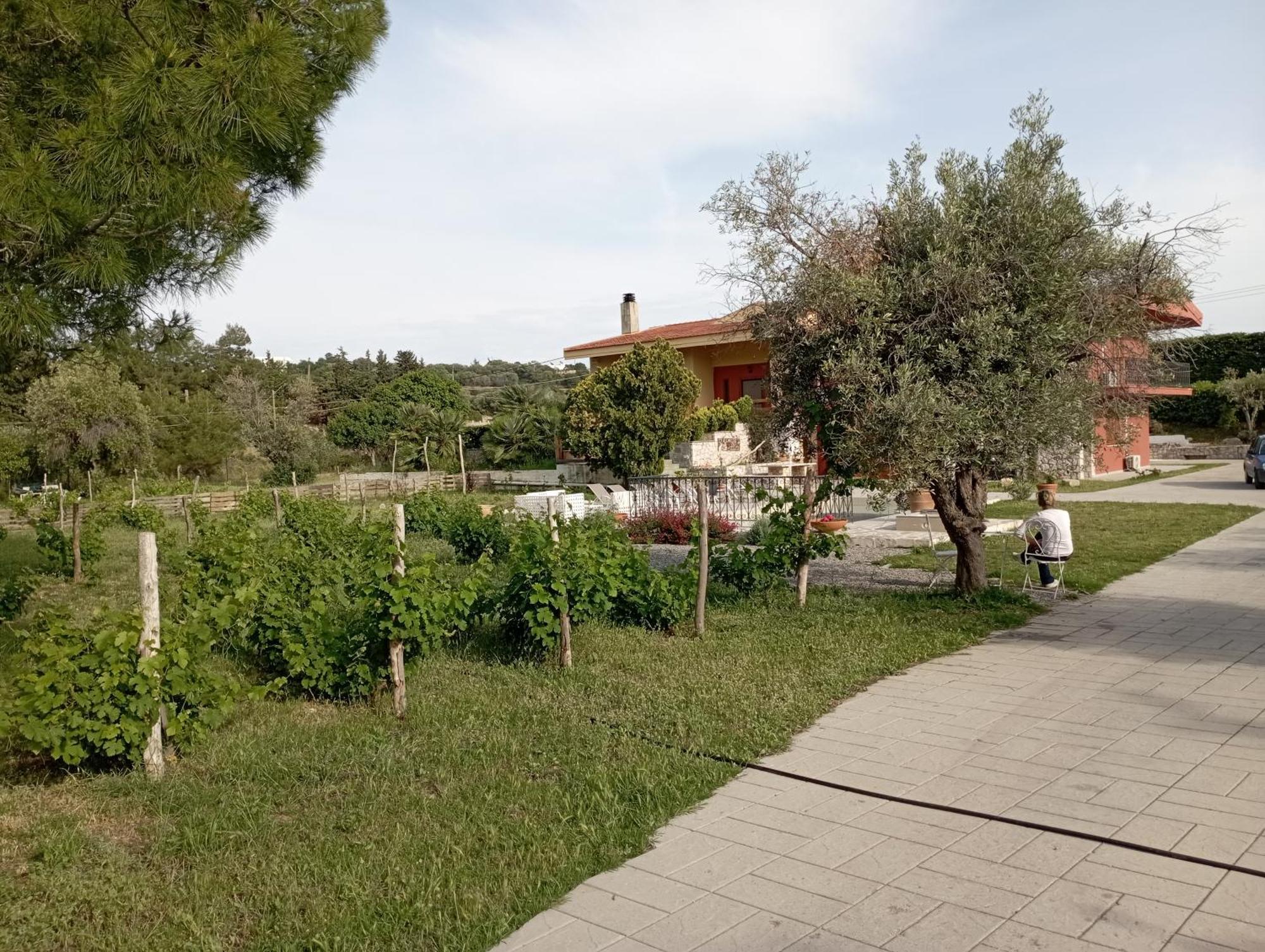 Emarmene Home With Private Pool Near Rhodes Town & Airport Koskinou  Exterior foto